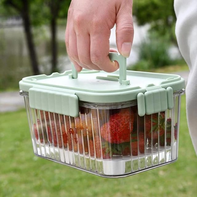 Food Storage Box, Chilled Fruit Box, Portable Fruit Box, Airtight Crisper with Leak-Proof Locking Lid for Fruits, Vegetables when you are out and about (Free 1 Fruit Fork + 1 Ice